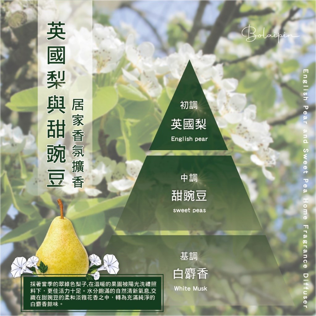 (預購)Bolaipin 英國質感居家香氛擴香 200ml