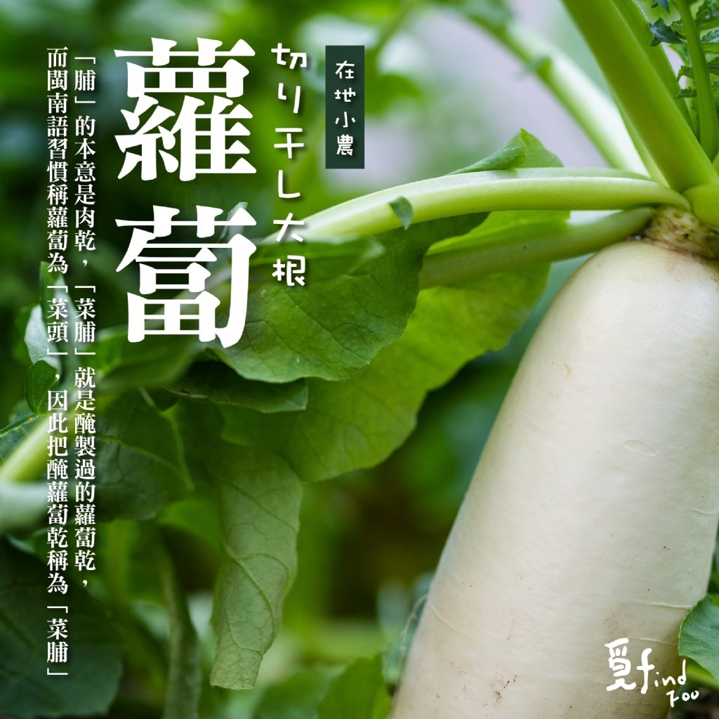 (預購) 覓十 台味經典 飄香脆享菜脯餅 8入/包